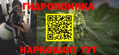герыч Кингисепп